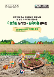 식량자원 농작업 + 원예자원 융복합 : 밀 새싹 텃밭과 고구마 수확